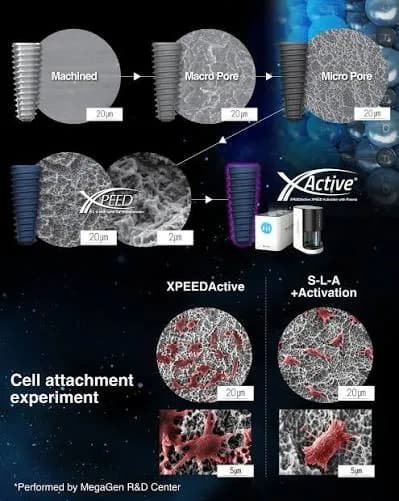 آزمایش اتصال سلولی مرکز تحقیقات مگاژن روی سطح XPEEDActive در مقایسه با S-L-A فعال‌شده